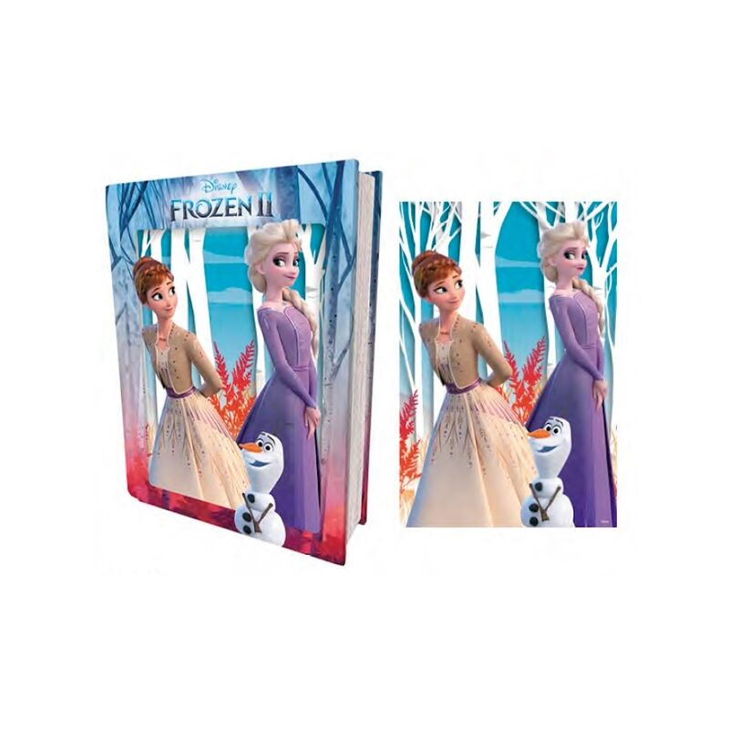 Puzzle 3D Lenticular Disney Frozen II: Elsa, Anna y Olaf - 300 Piezas